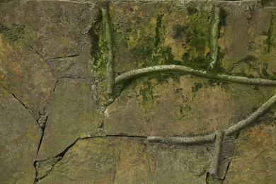 Stone wall with green moss as background, closeup