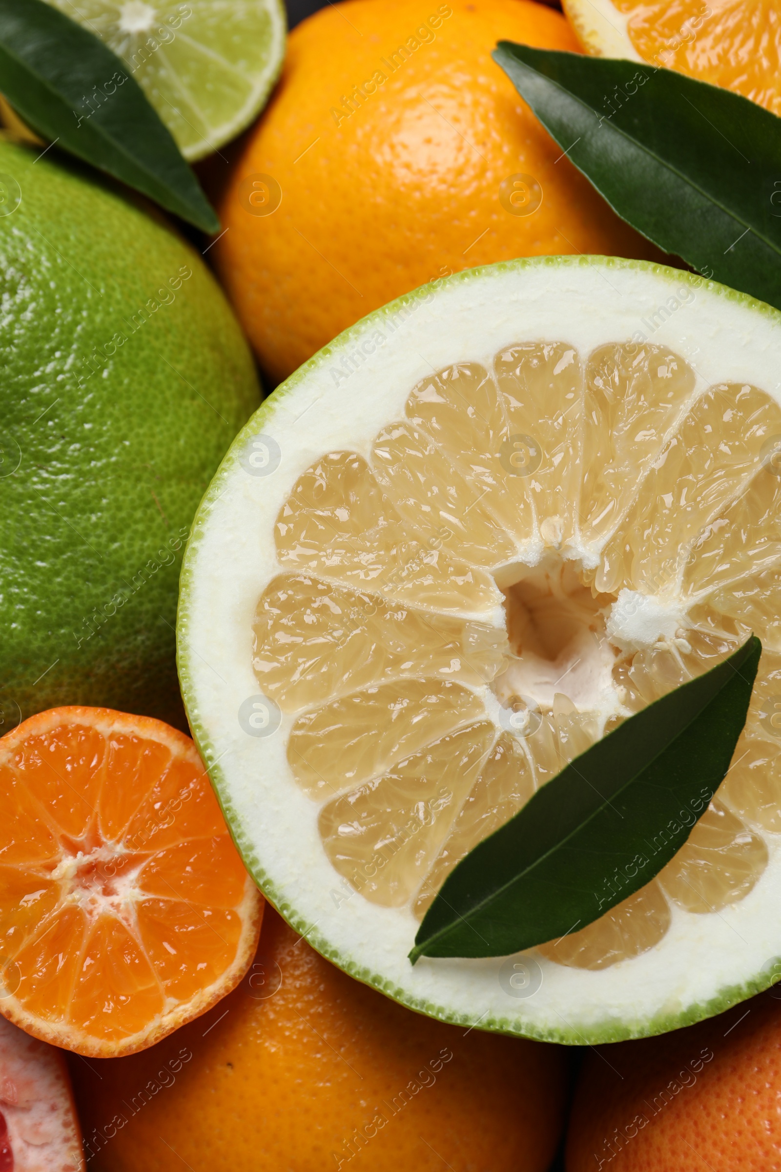 Photo of Different fresh whole and cut citrus fruits as background, top view