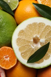 Different fresh whole and cut citrus fruits as background, top view