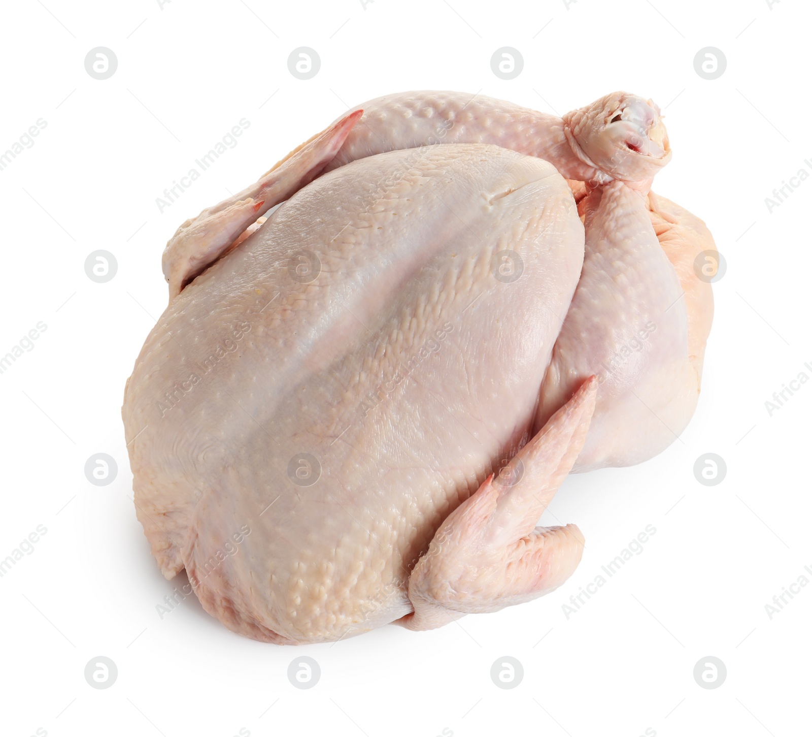 Photo of Fresh raw whole turkey on white background, above view