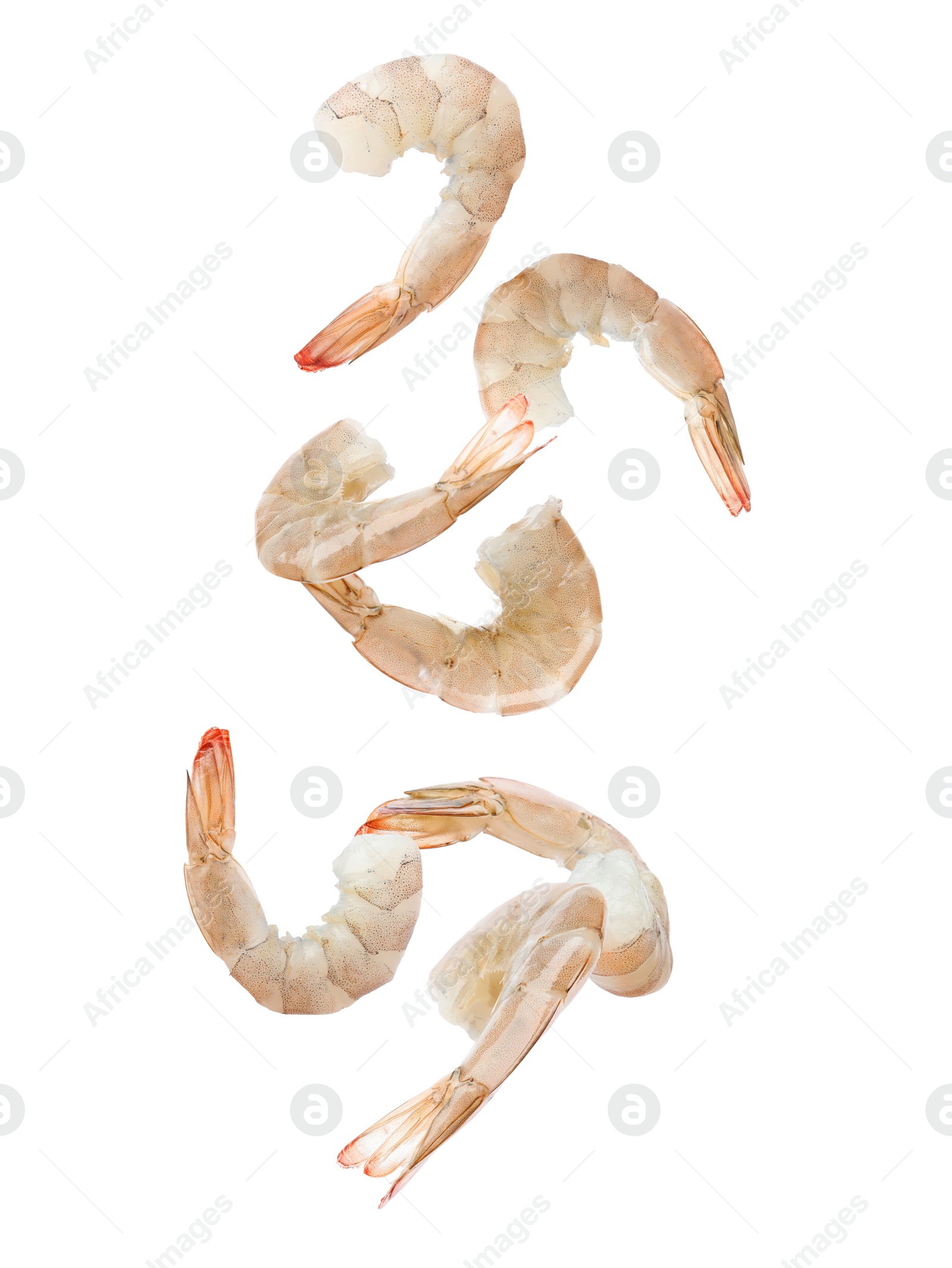 Image of Fresh raw shrimps falling on white background