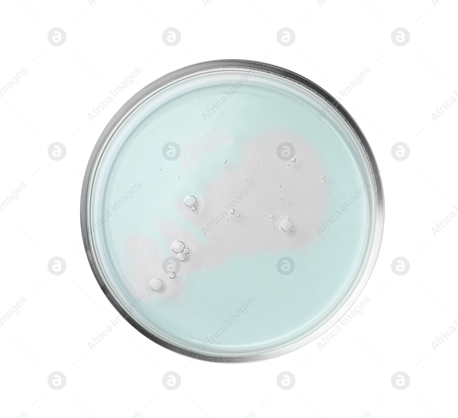 Photo of Petri dish with color liquid isolated on white, top view