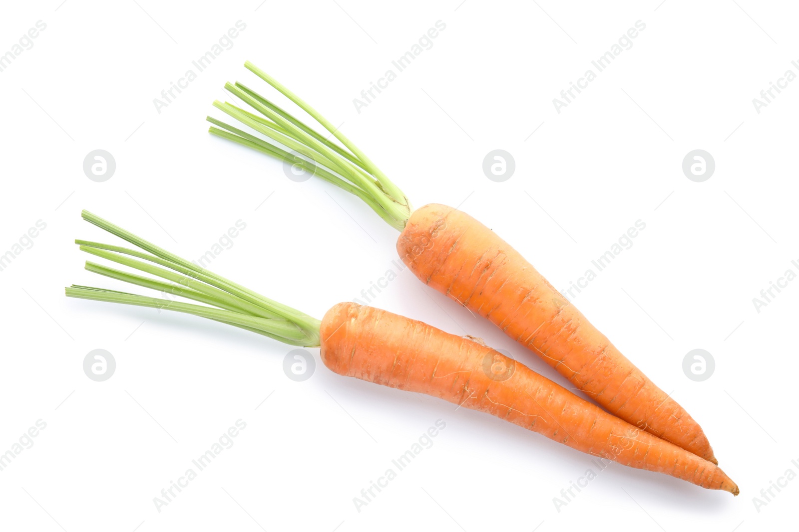 Photo of Ripe fresh carrots on white background