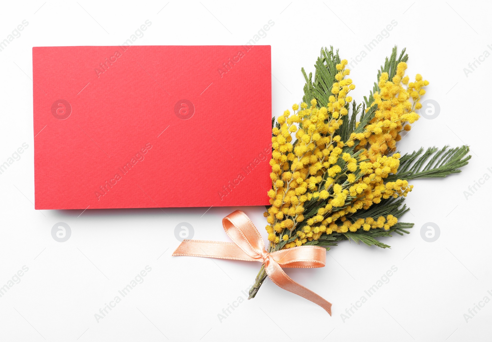 Photo of Beautiful mimosa bouquet and blank card on white background, flat lay. Space for text