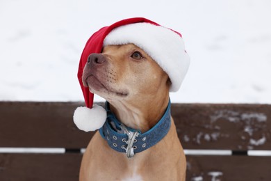 Cute dog wearing Santa hat on bench outdoors