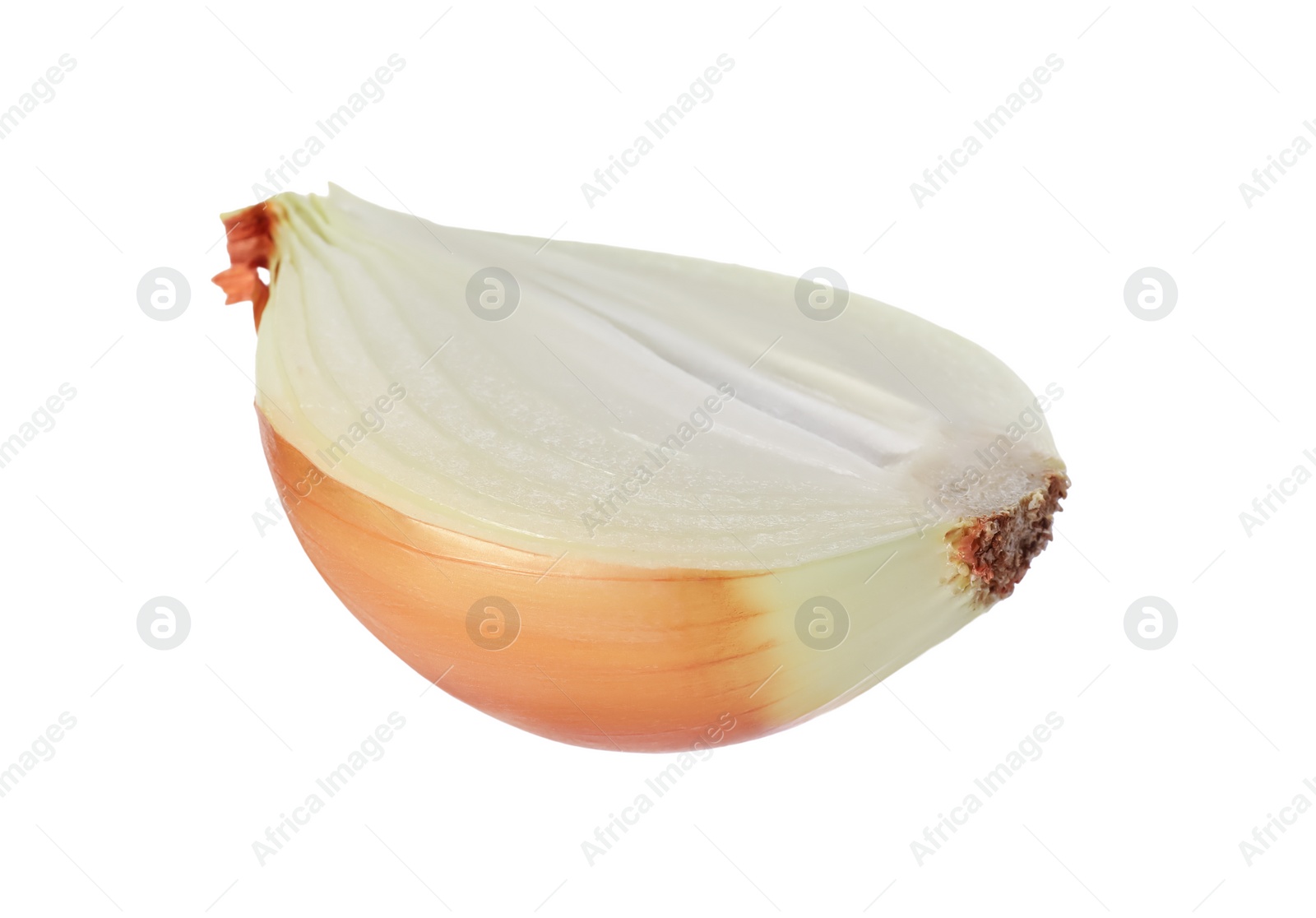 Photo of Half of fresh onion isolated on white