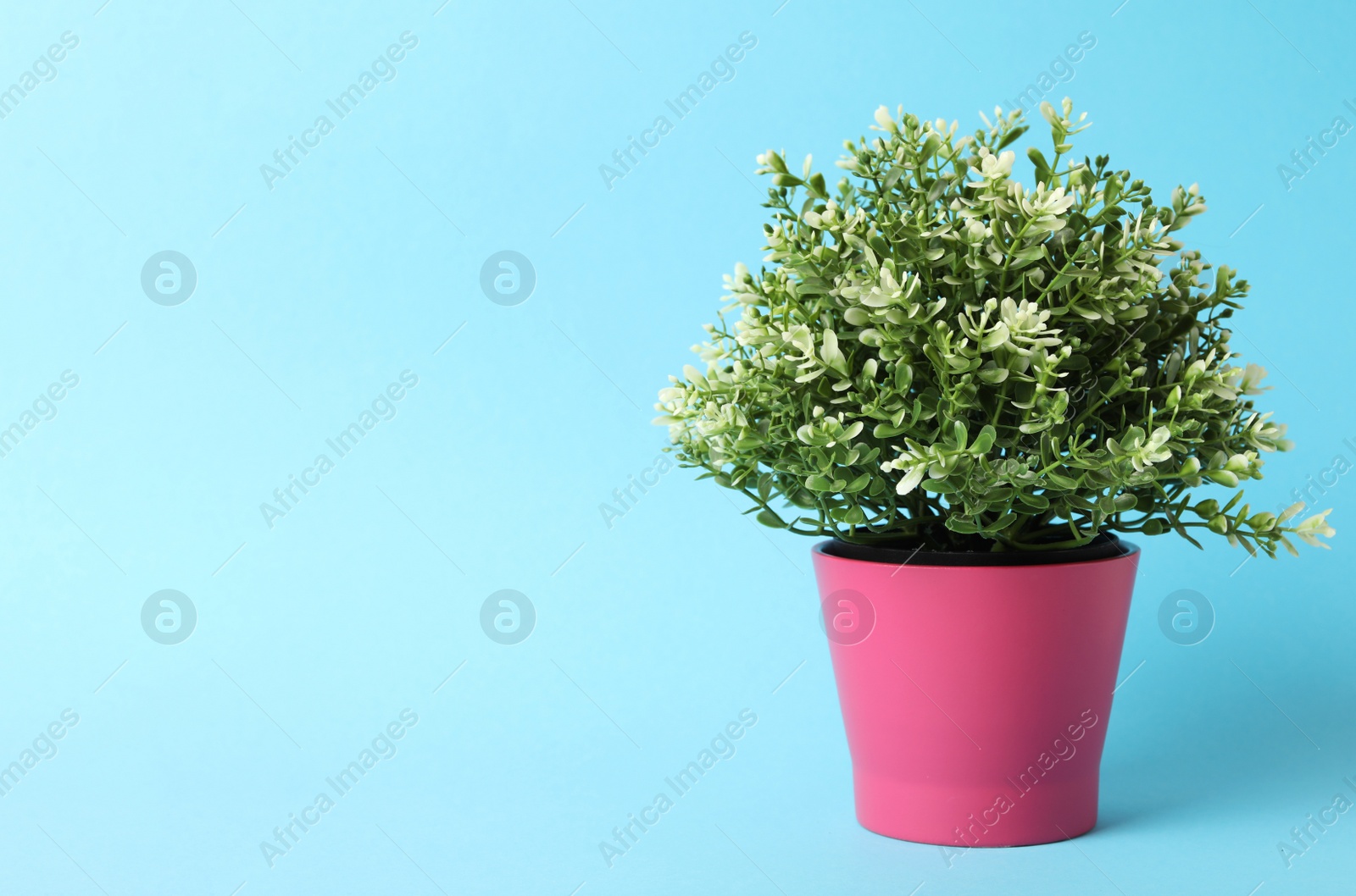 Photo of Beautiful artificial plant in flower pot on light blue background, space for text