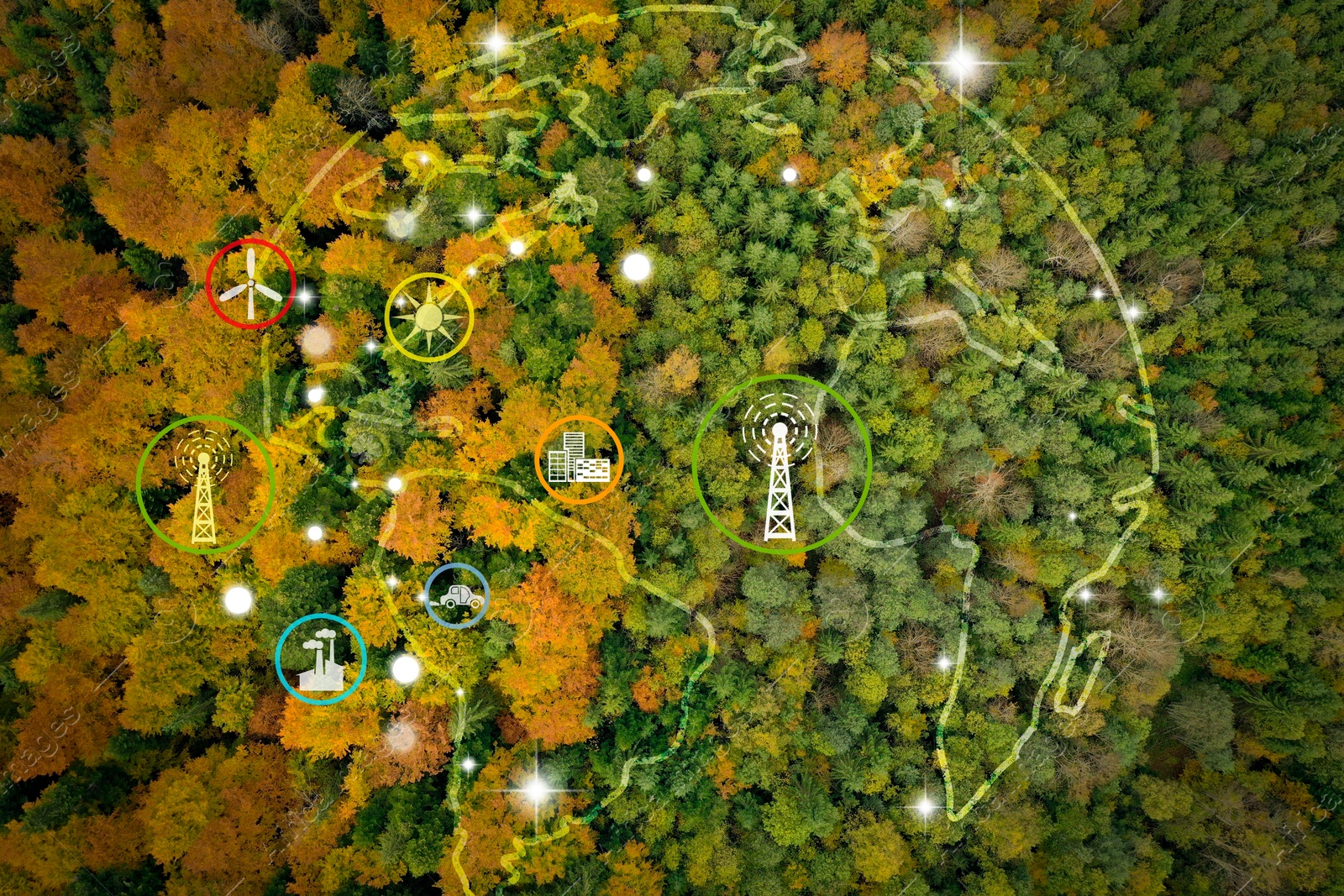 Image of Digital icons of sustainable development goals and view of beautiful forest