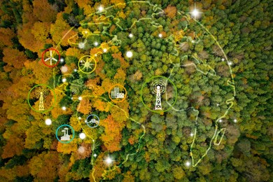 Digital icons of sustainable development goals and view of beautiful forest