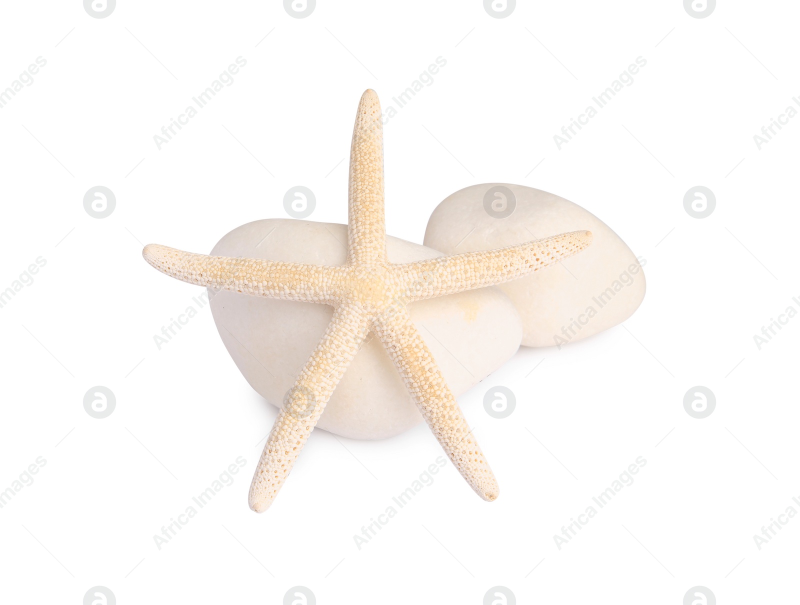 Photo of Beautiful sea star and stones isolated on white