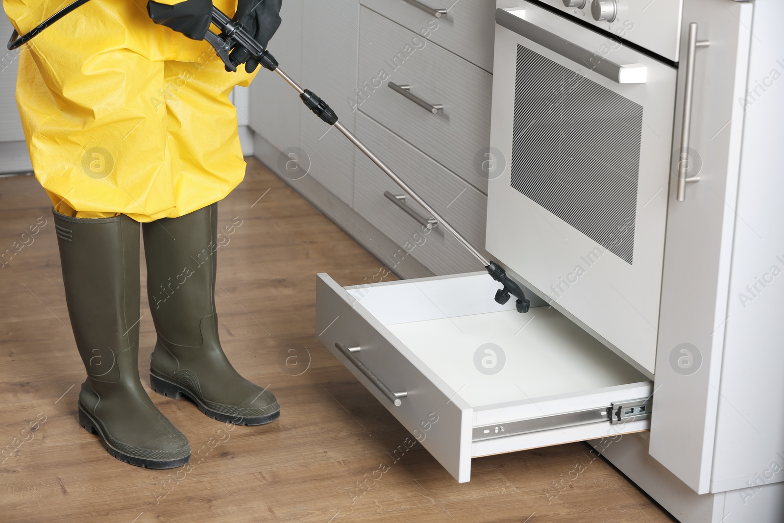 Photo of Pest control worker spraying pesticide in kitchen, closeup