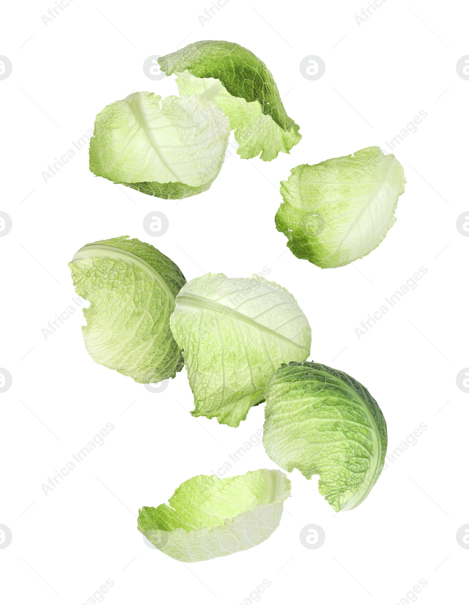 Image of Set with falling fresh leaves of savoy cabbage on white background