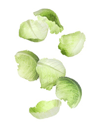 Image of Set with falling fresh leaves of savoy cabbage on white background