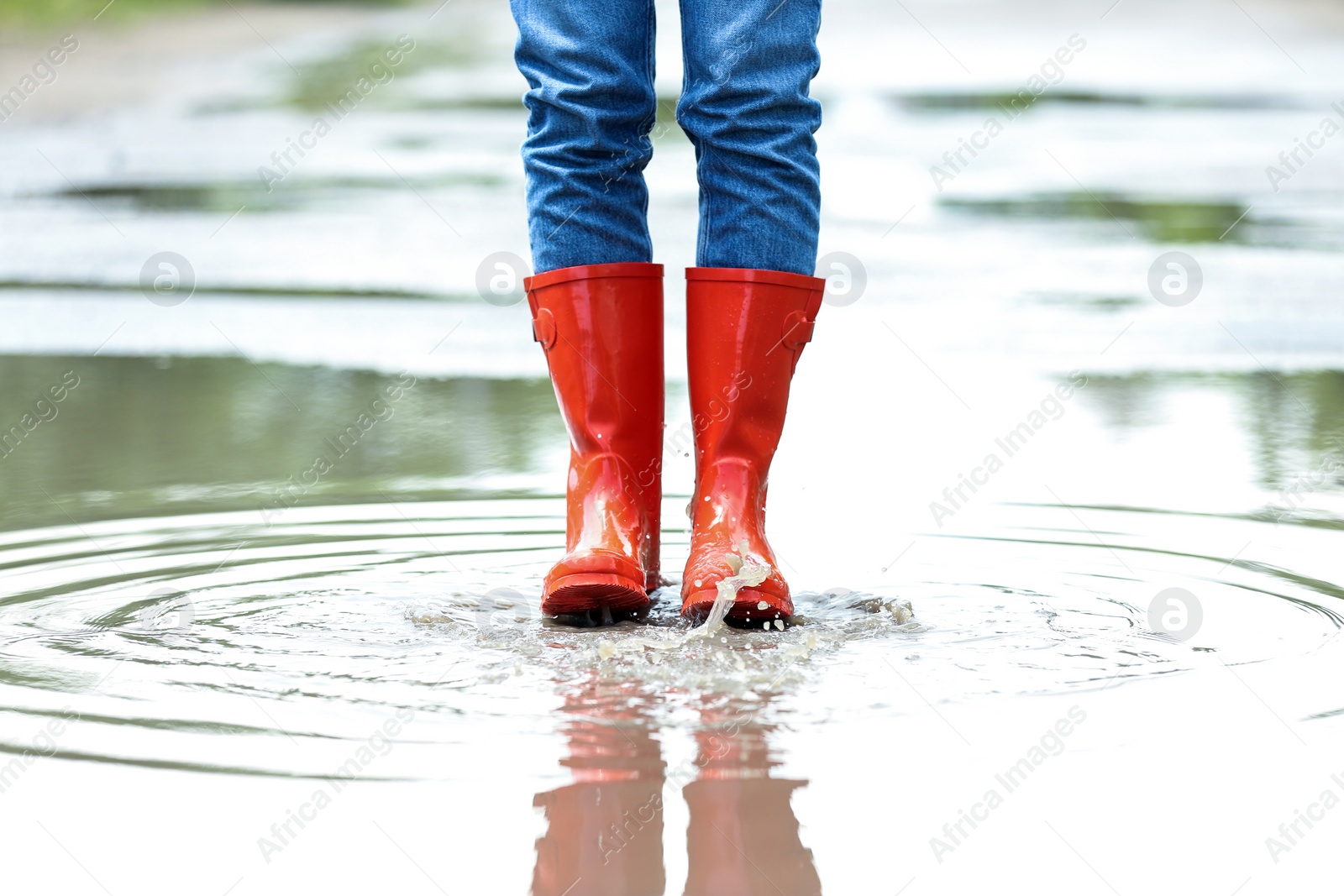 Photo of Woman with red rubber boots in puddle, closeup. Rainy weather