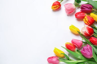 Photo of Beautiful spring tulips on white background, top view