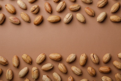 Tasty pecan nuts on color background, top view. Space for text