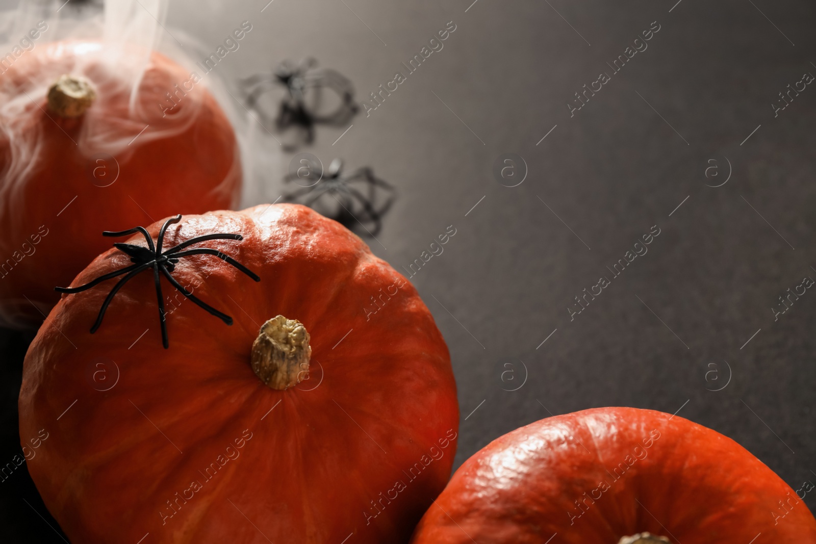 Photo of Halloween composition with pumpkins, decorative spiders and smoke on black background, space for text