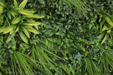 Photo of Green artificial plant wall panel as background, closeup