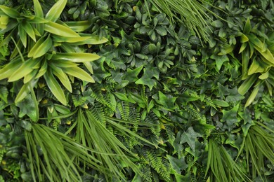 Green artificial plant wall panel as background, closeup