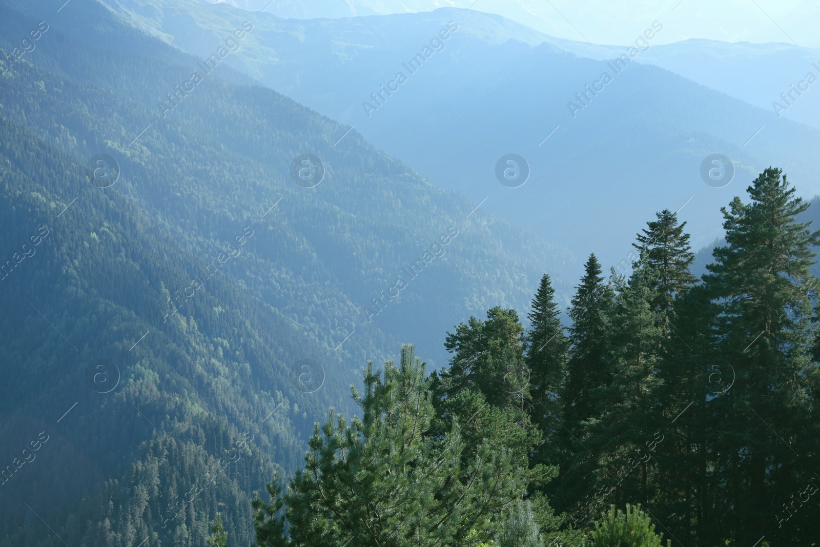 Photo of Aerial view of beautiful landscape with mountain forest on sunny day