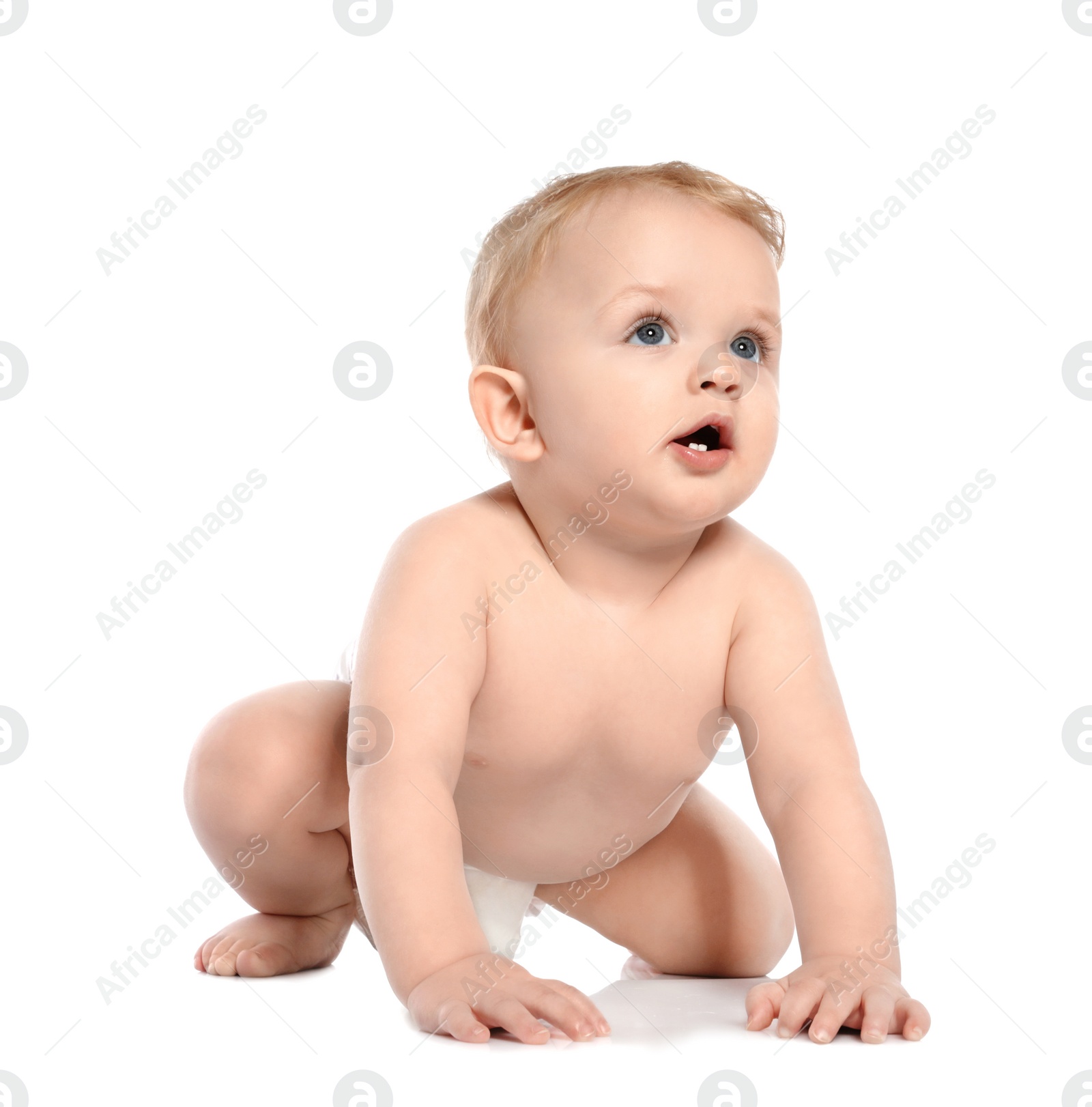 Photo of Cute little baby crawling on white background