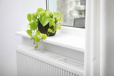 Photo of Beautiful houseplant on window sill and modern radiator at home. Central heating system