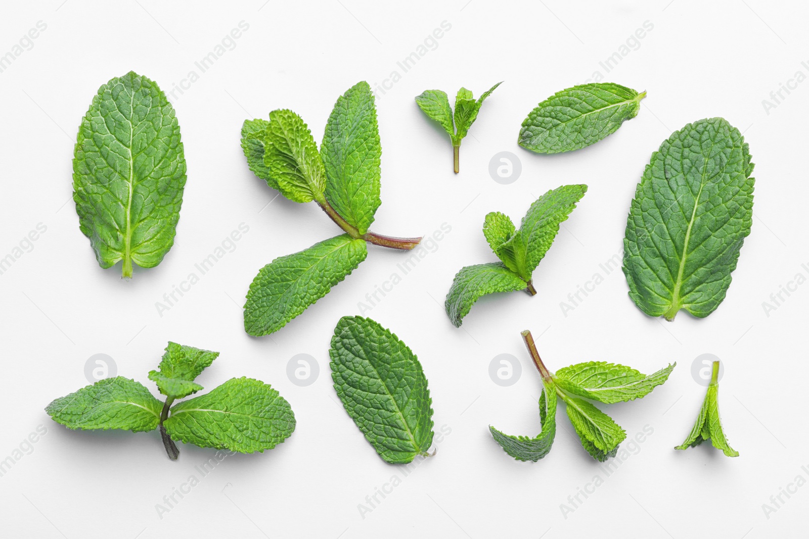 Photo of Fresh green mint leaves on white background, top view