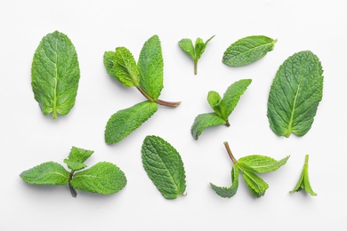 Fresh green mint leaves on white background, top view