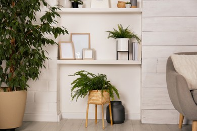 Photo of Wall shelves with beautiful decor elements and houseplants in stylish living room interior