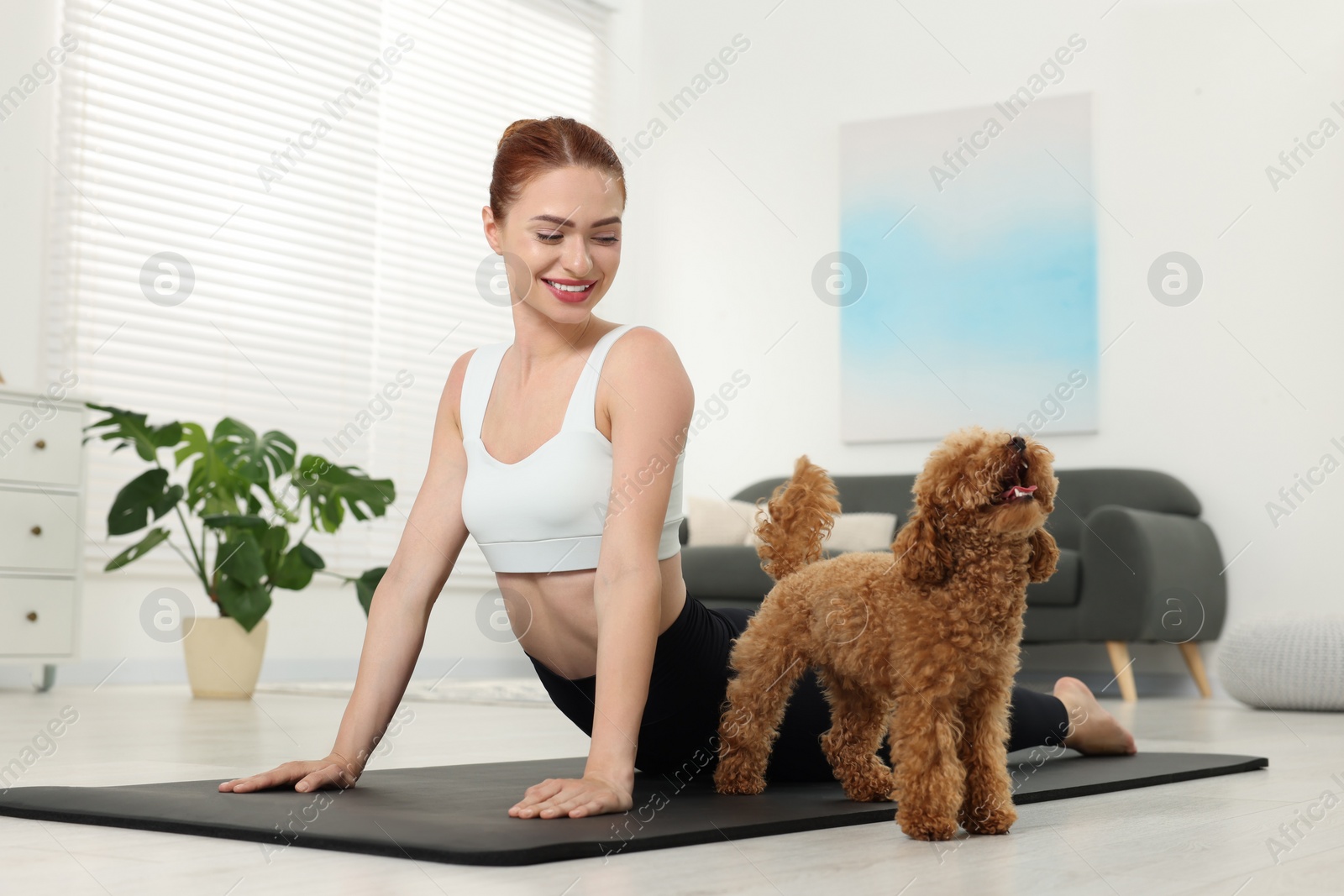 Photo of Happy young woman practicing yoga on mat with her cute dog at home