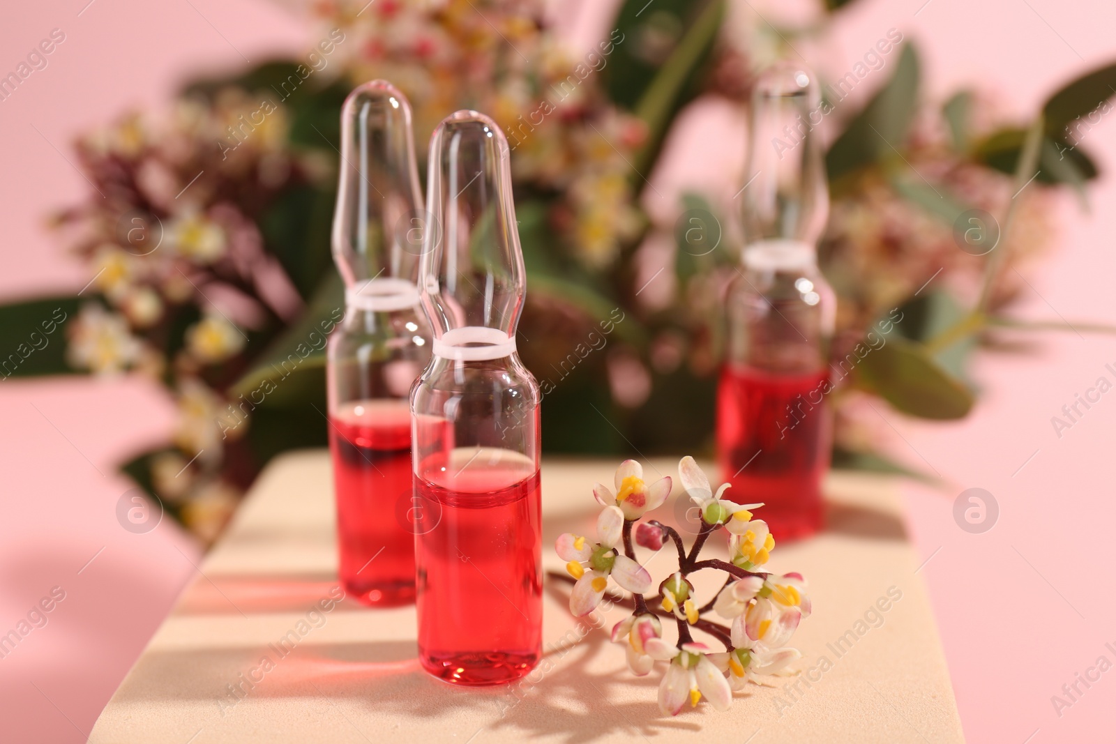 Photo of Stylish presentation of skincare ampoules and flowers on pink background, closeup