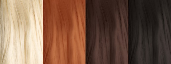 Image of Collage of color hair samples, closeup. Banner design