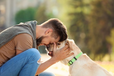 Cute yellow labrador retriever with owner outdoors