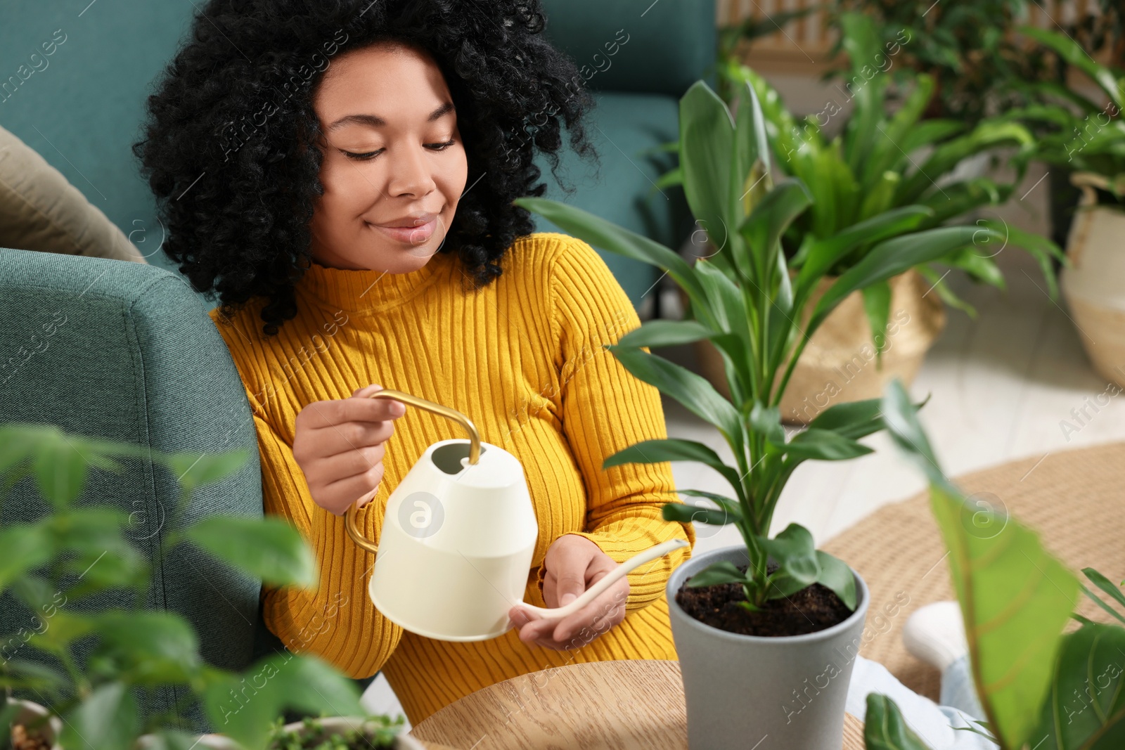 Photo of Woman watering beautiful potted houseplant at home