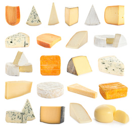 Image of Set with different sorts of cheese on white background