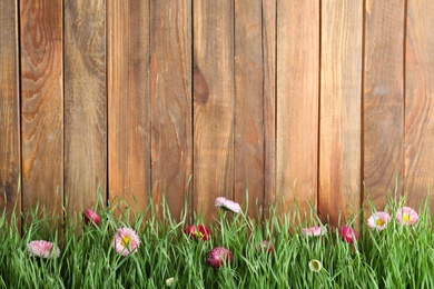 Vibrant green grass with beautiful flowers against wooden background, space for text