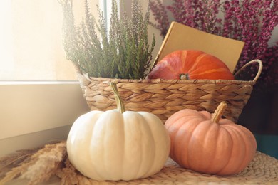 Photo of Wicker basket with beautiful heather flowers, pumpkins and book near window indoors