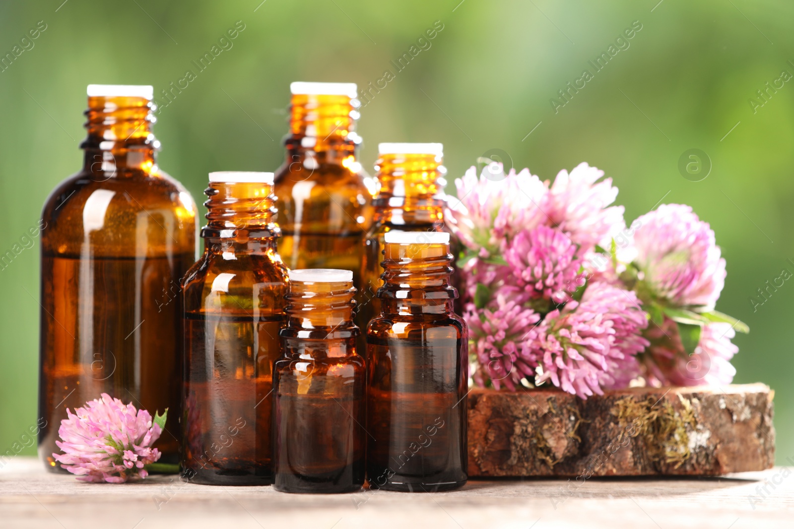 Photo of Bottles with essential oil and clover flowers on wooden table against blurred green background, closeup