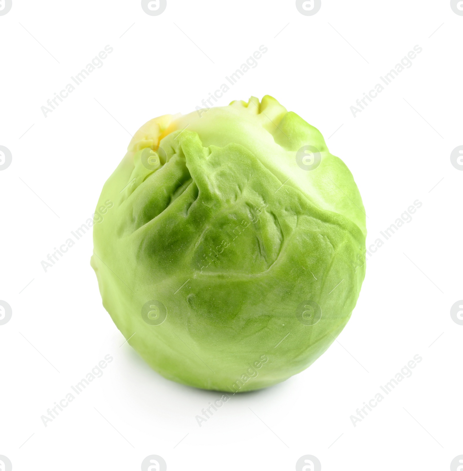 Photo of Fresh tasty Brussels sprout on white background