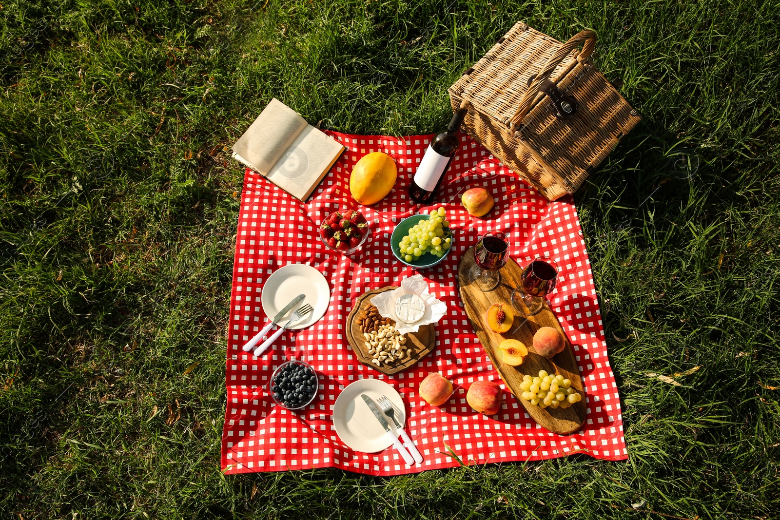 Photo of Picnic blanket with delicious food and wine on green grass, top view