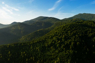 Image of Beautiful mountain landscape with green forest on sunny day. Drone photography