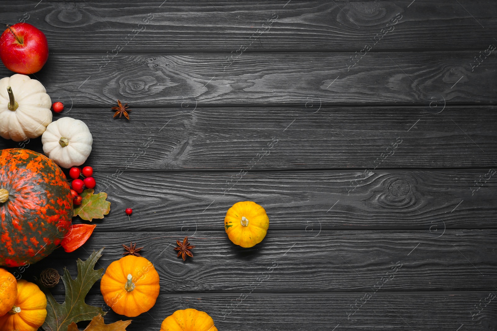 Photo of Thanksgiving day. Flat lay composition with pumpkins on black wooden table, space for text