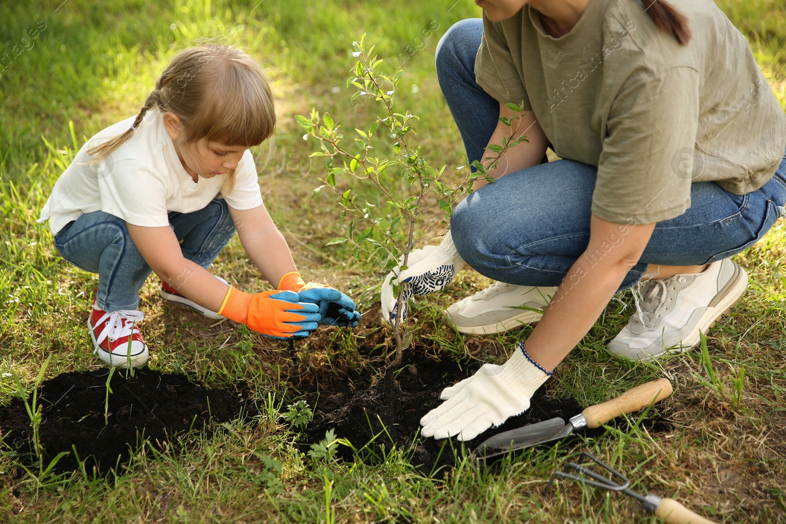 Photo of Mother and her daughter planting tree together in garden