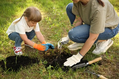 Mother and her daughter planting tree together in garden