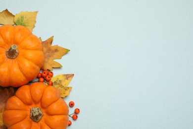 Photo of Fresh ripe pumpkins, autumn leaves and berries on light blue background, flat lay. Space for text