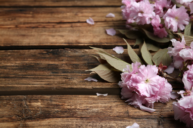 Photo of Sakura tree branch with beautiful blossom on wooden background, space for text. Japanese cherry