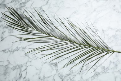 Leaf of tropical palm tree on marble background, top view