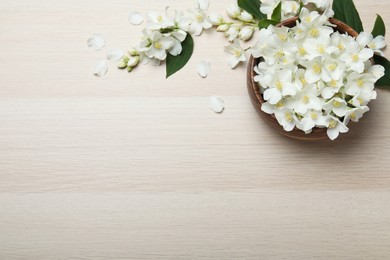 Photo of Beautiful jasmine flowers on white wooden table, flat lay. Space for text