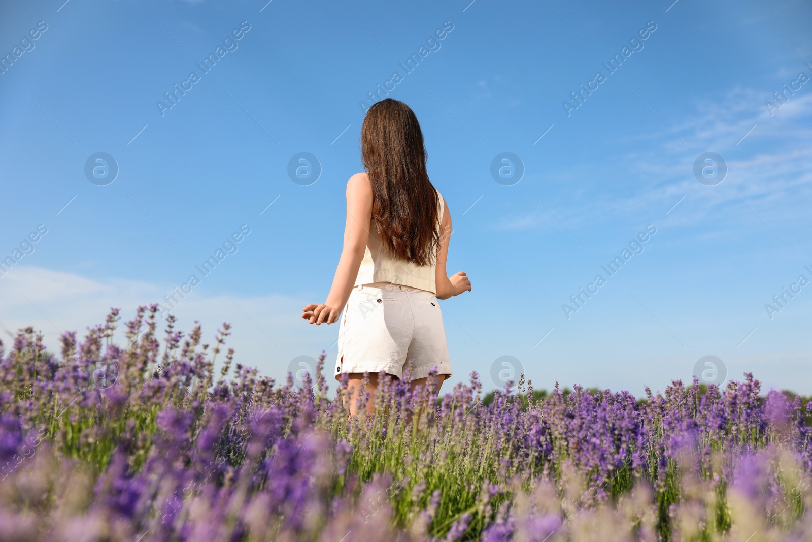 Photo of Young woman in lavender field on summer day