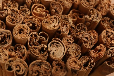 Photo of Aromatic cinnamon sticks as background, closeup view